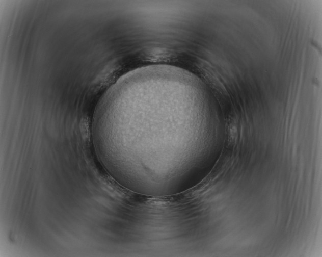 X0000090980620200708241404