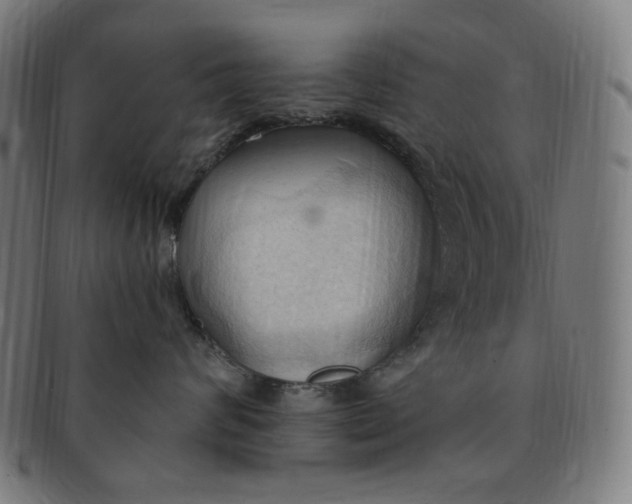 X0000090980624200708241404