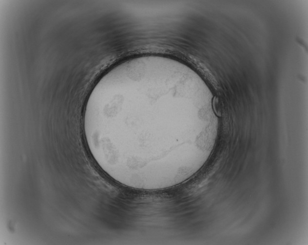 X0000090980625200708241404