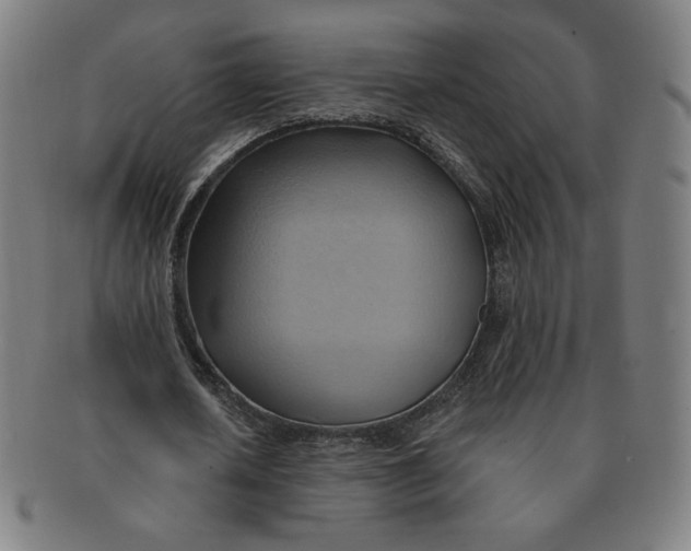 X0000090980626200708241404