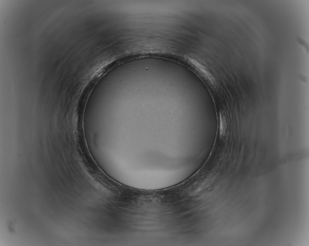 X0000090980627200708241404