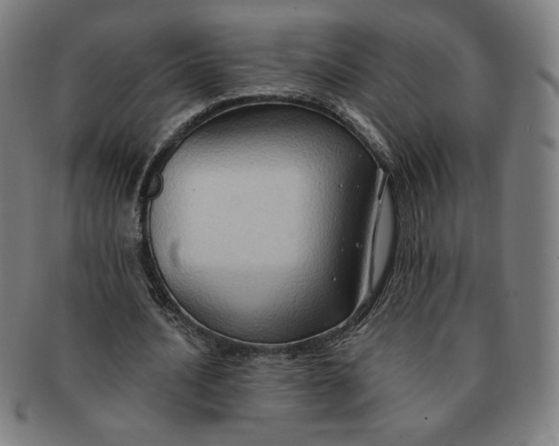 X0000090980628200708241404