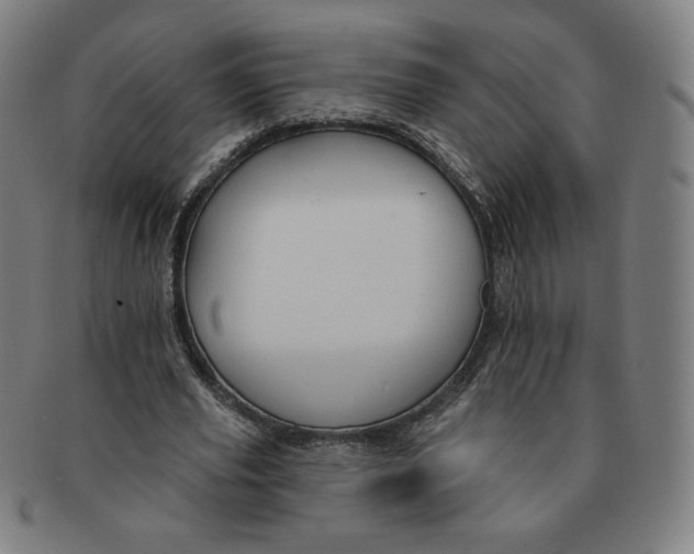 X0000090980629200708241404