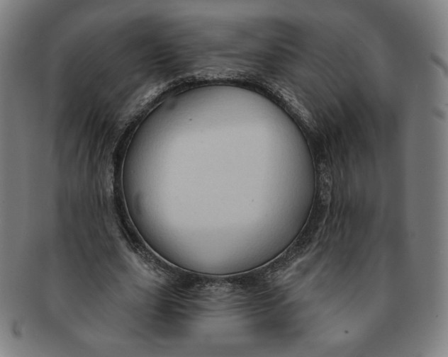 X0000090980631200708241404