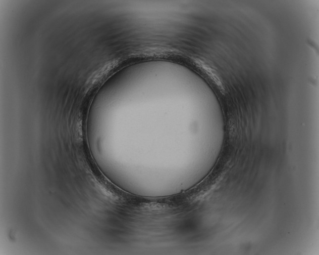 X0000090980633200708241404