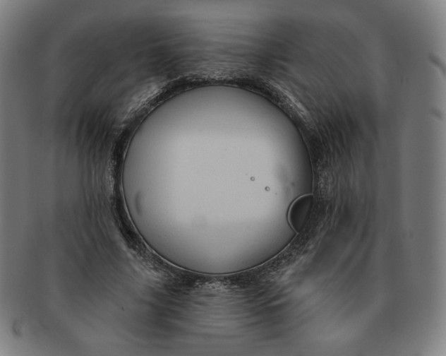 X0000090980635200708241404