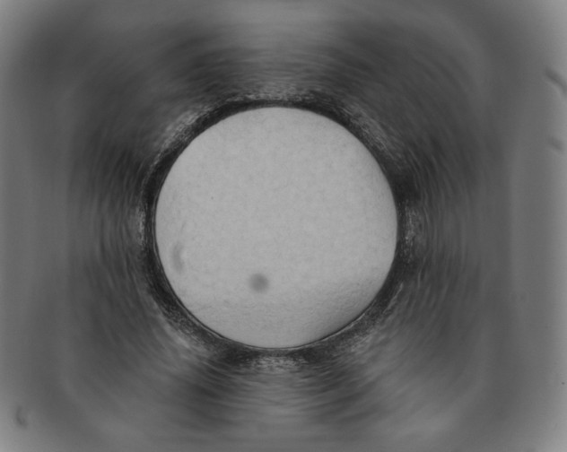 X0000090980636200708241404