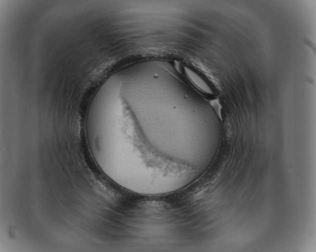 X0000090980637200708241404