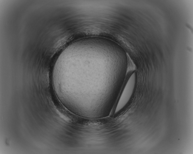 X0000090980638200708241404