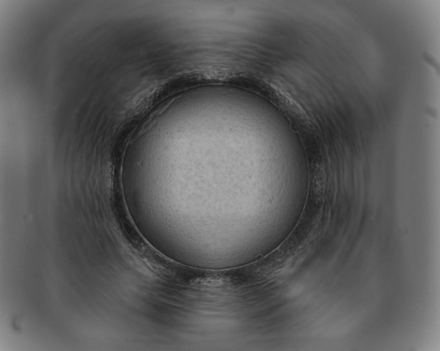 X0000090980639200708241404