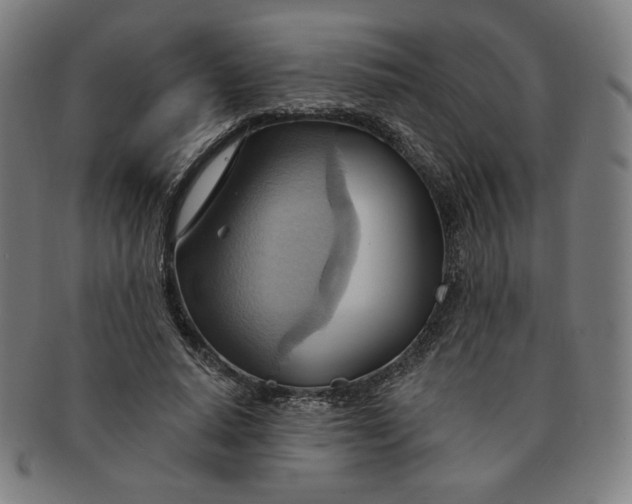 X0000090980640200708241404
