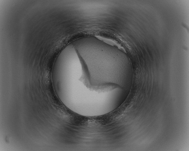 X0000090980641200708241404