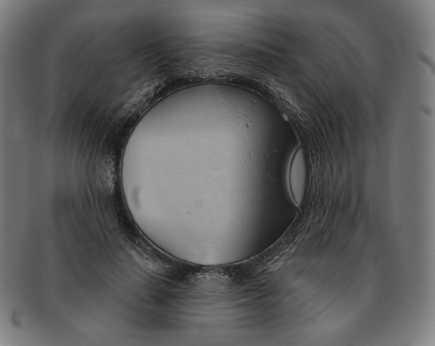 X0000090980644200708241404
