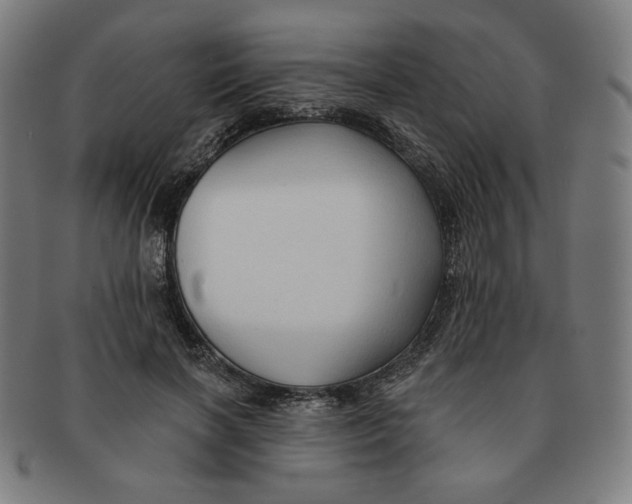 X0000090980646200708241404