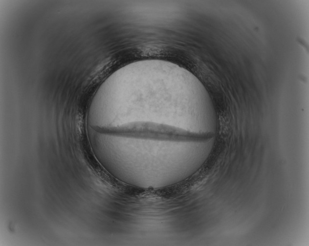 X0000090980648200708241404
