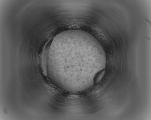 X0000090980649200708241404