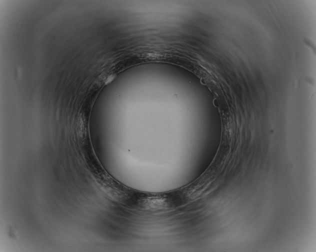 X0000090980651200708241404