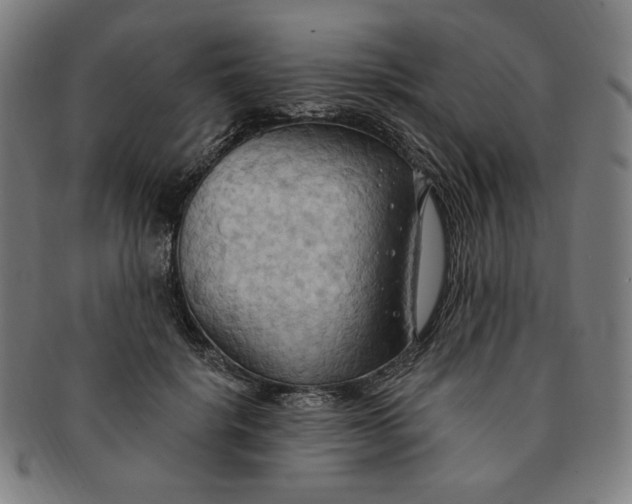 X0000090980652200708241404
