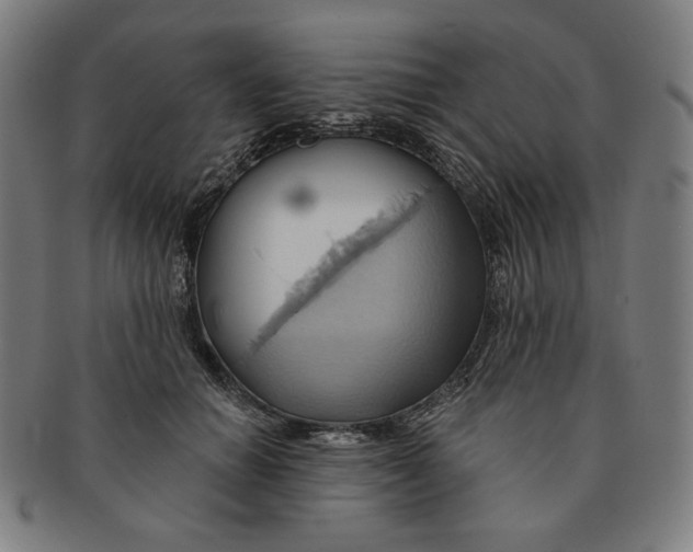 X0000090980654200708241404