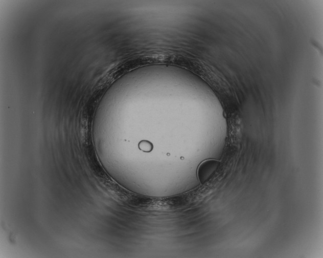 X0000090980656200708241404