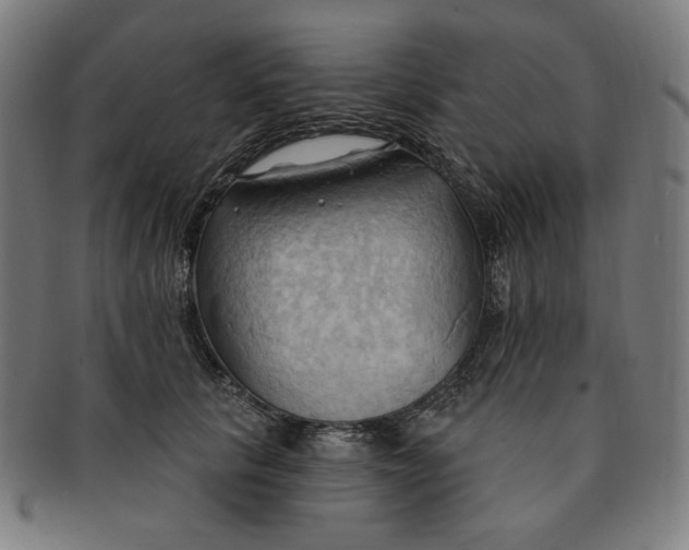 X0000090980657200708241404