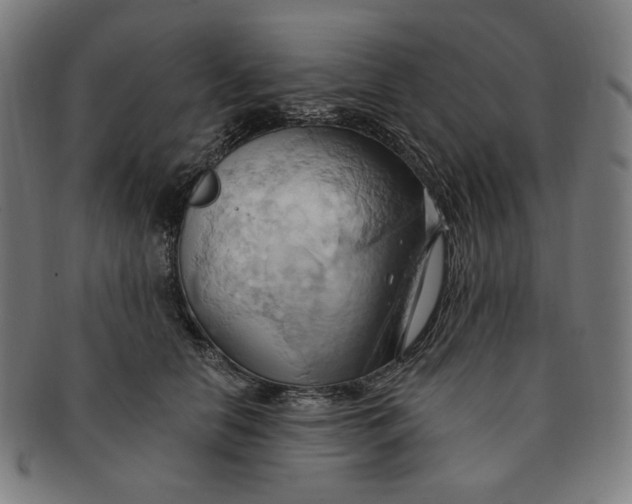 X0000090980658200708241404