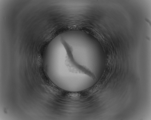 X0000090980659200708241404