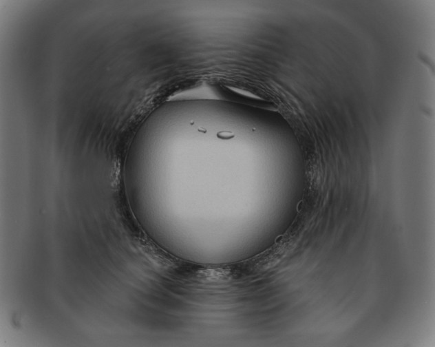 X0000090980660200708241404