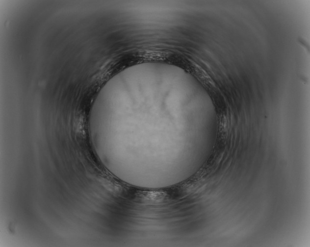 X0000090980663200708241404