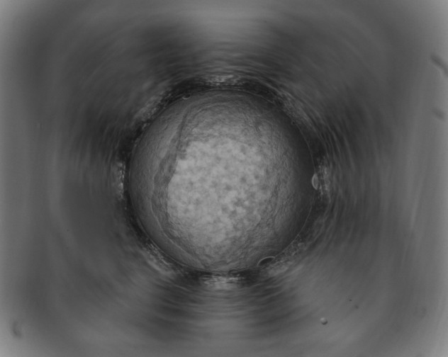X0000090980664200708241404