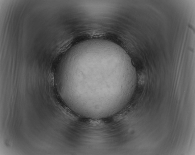 X0000090980666200708241404