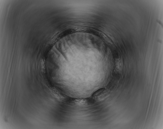 X0000090980667200708241404