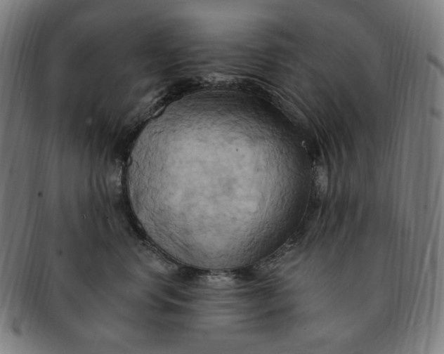 X0000090980668200708241404