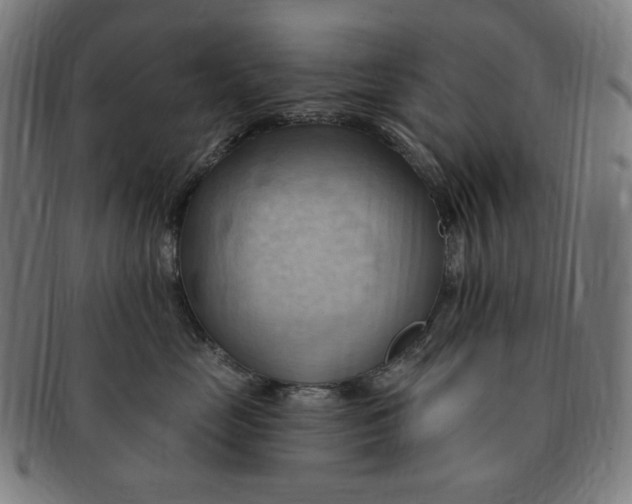 X0000090980669200708241404