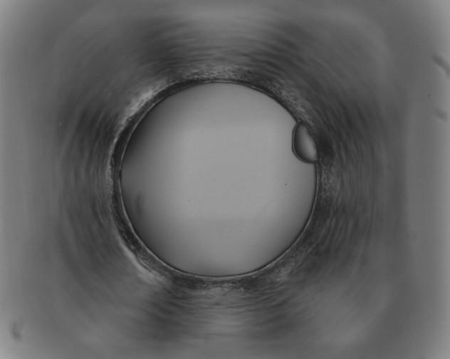 X0000090980674200708241404