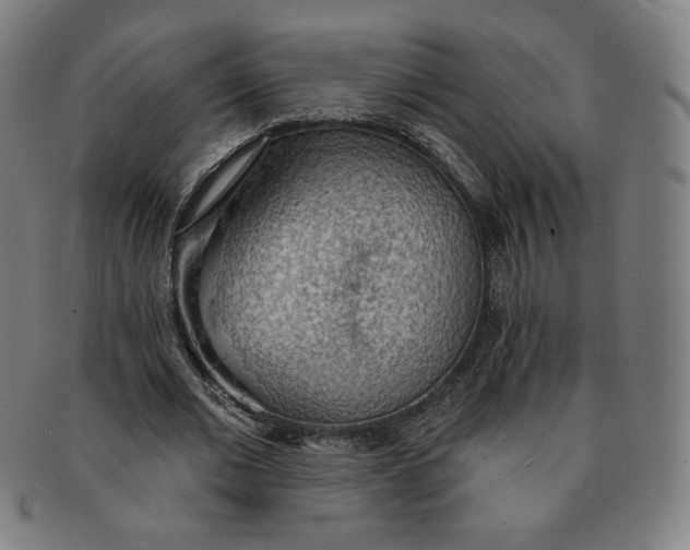 X0000090980677200708241403