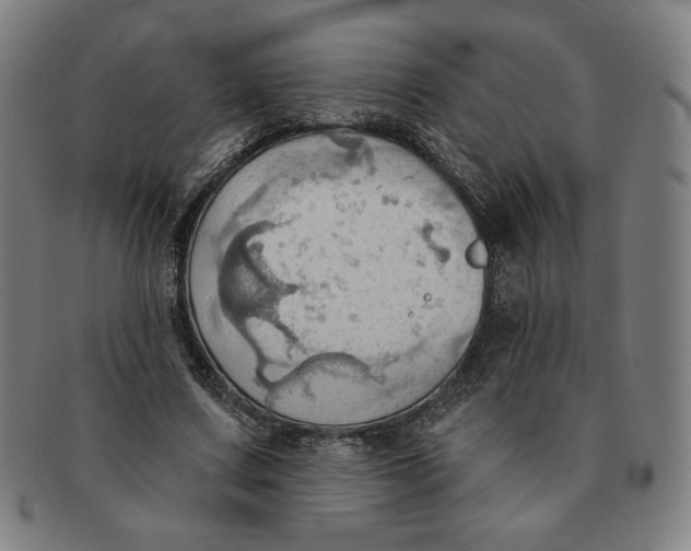 X0000090980683200708241403