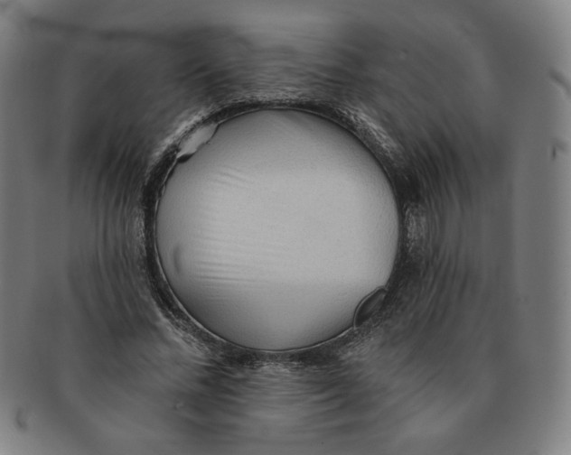 X0000090980684200708241403