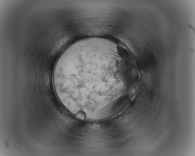 X0000090980687200708241403