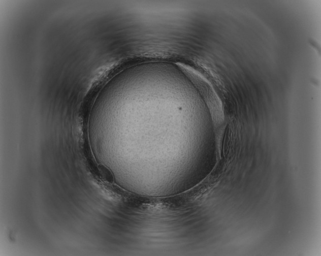 X0000090980688200708241403