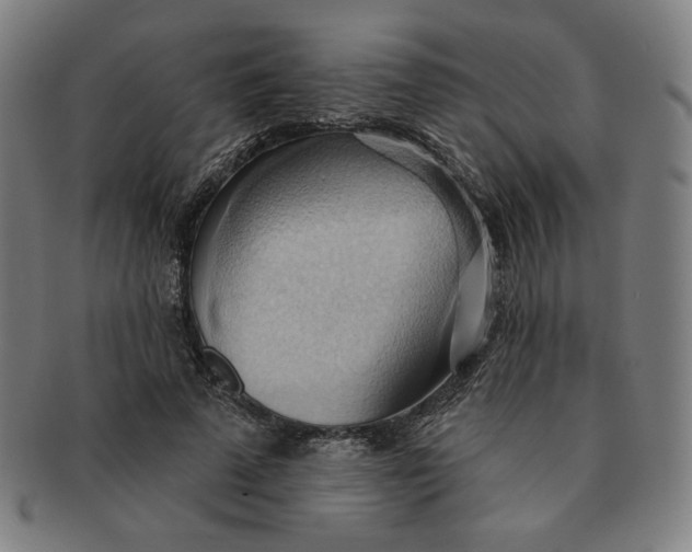 X0000090980689200708241403