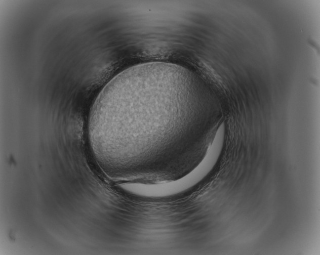 X0000090980693200708241403