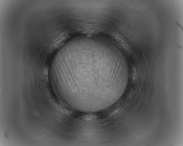 X0000090980696200708241403
