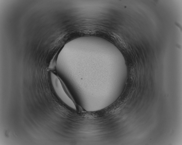 X0000090980697200708241403
