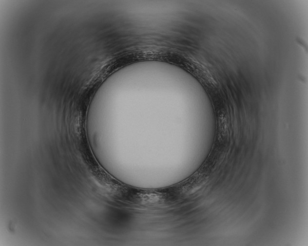 X0000090980698200708241403