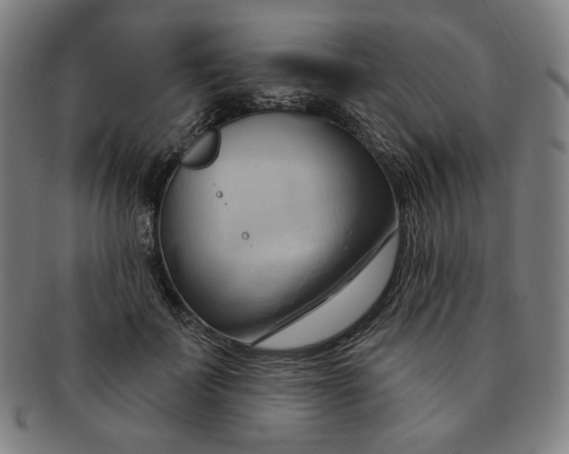 X0000090980699200708241403