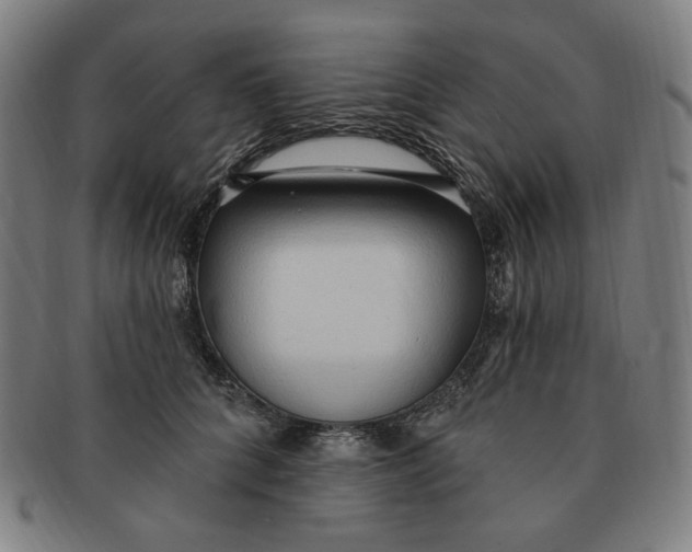 X0000090980704200708241403