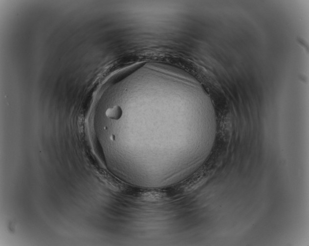X0000090980708200708241403