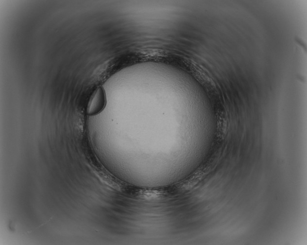 X0000090980710200708241403