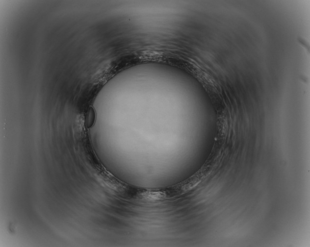 X0000090980711200708241403
